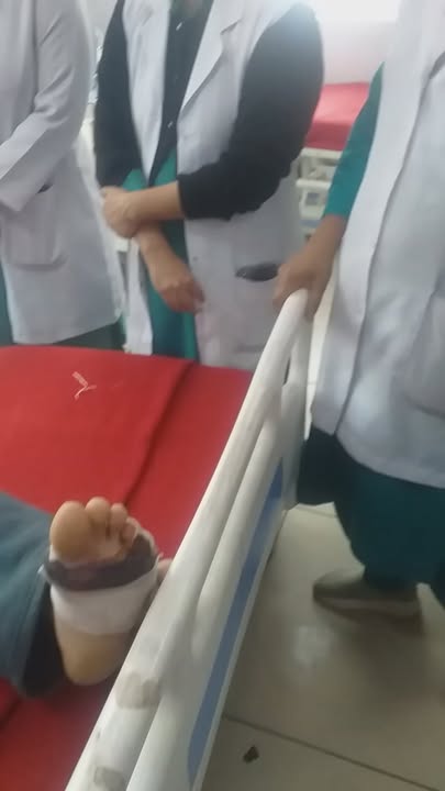 484583138_1824696848352219_2203040528987627379_n
